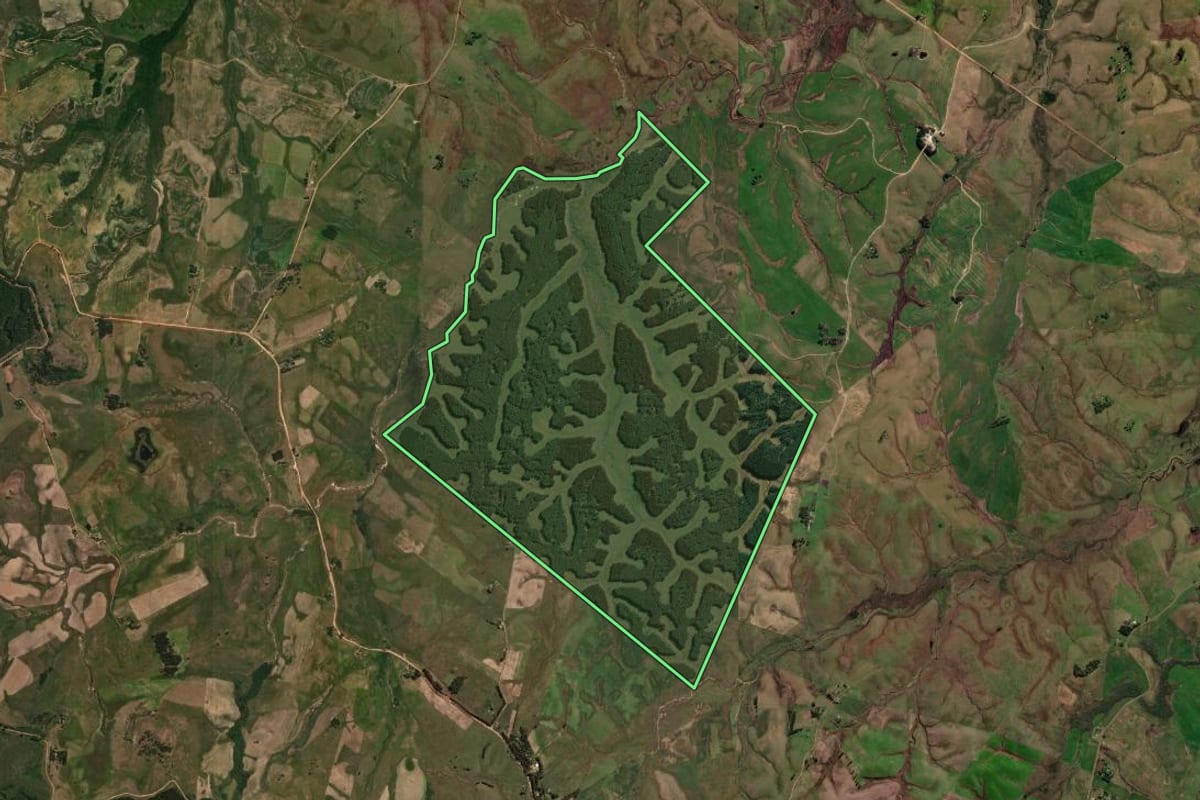 Imagem de satélite do imóvel rural em Sant'Ana do Livramento (RS), com o contorno declarado no CAR desenhado por cima.