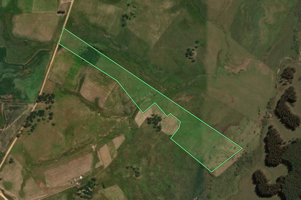 Imagem de satélite do imóvel rural em Sant'Ana do Livramento (RS), com o contorno declarado no CAR desenhado por cima.