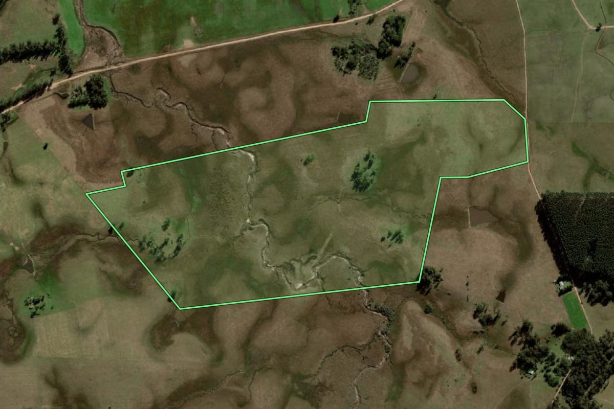 Imagem de satélite do imóvel rural em Sant'Ana do Livramento (RS), com o contorno declarado no CAR desenhado por cima.