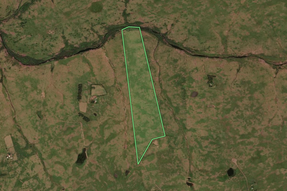 Imagem de satélite do imóvel rural em Sant'Ana do Livramento (RS), com o contorno declarado no CAR desenhado por cima.