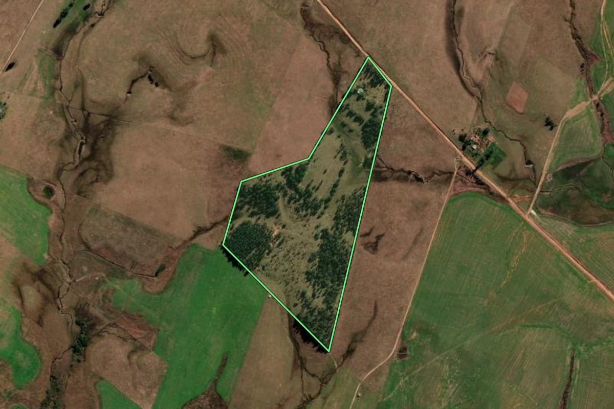 Imagem de satélite do imóvel rural em Sant'Ana do Livramento (RS), com o contorno declarado no CAR desenhado por cima.