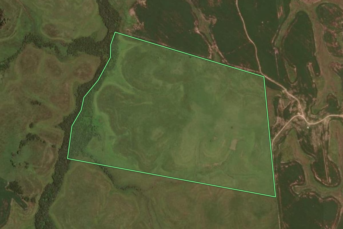 Imagem de satélite do imóvel rural em Sant'Ana do Livramento (RS), com o contorno declarado no CAR desenhado por cima.
