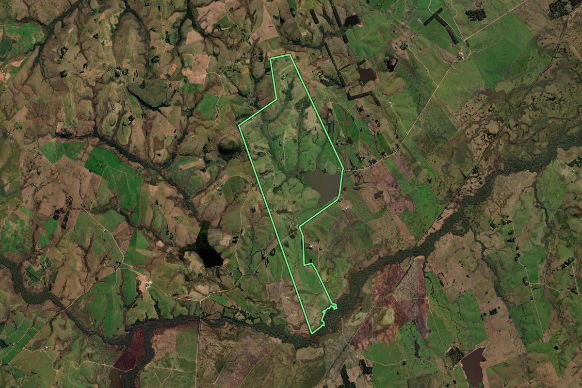 Imagem de satélite do imóvel rural em Sant'Ana do Livramento (RS), com o contorno declarado no CAR desenhado por cima.