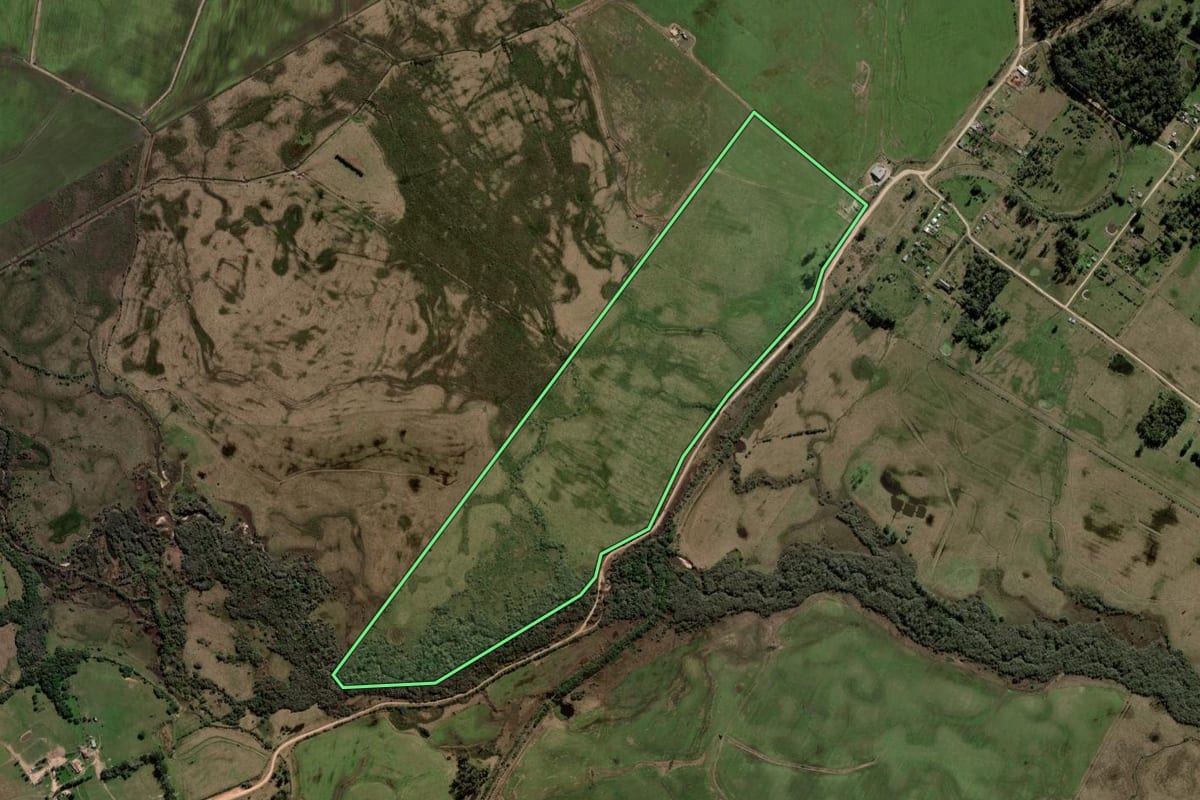 Imagem de satélite do imóvel rural em Sant'Ana do Livramento (RS), com o contorno declarado no CAR desenhado por cima.