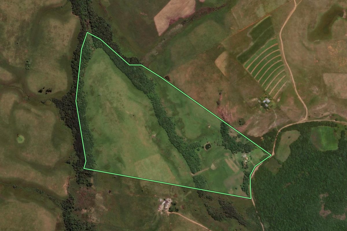 Imagem de satélite do imóvel rural em Sant'Ana do Livramento (RS), com o contorno declarado no CAR desenhado por cima.