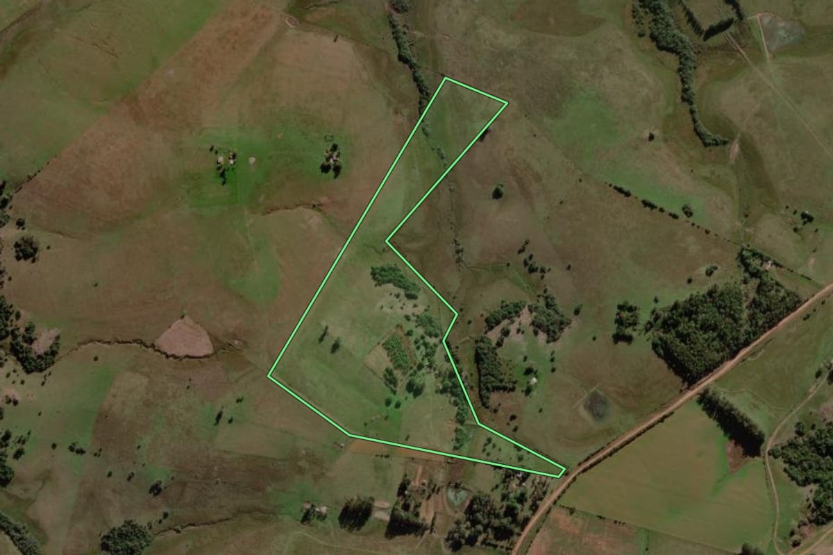 Imagem de satélite do imóvel rural em Sant'Ana do Livramento (RS), com o contorno declarado no CAR desenhado por cima.
