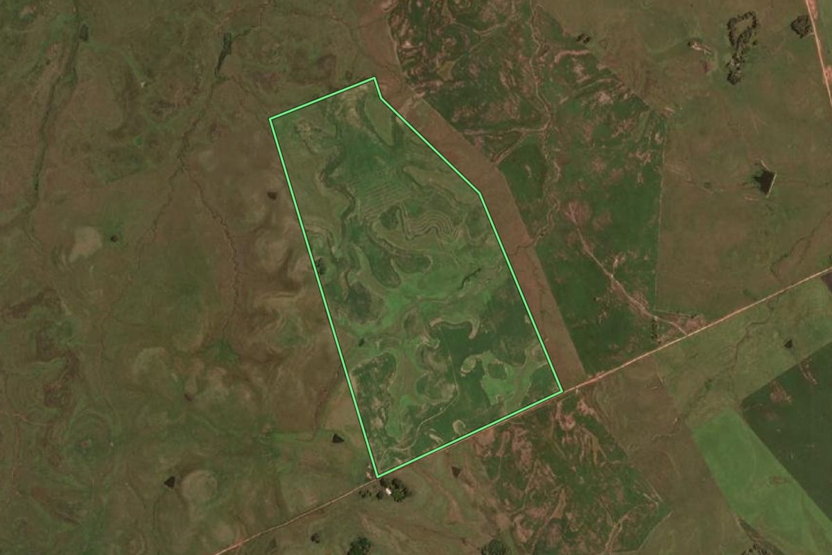 Imagem de satélite do imóvel rural em Sant'Ana do Livramento (RS), com o contorno declarado no CAR desenhado por cima.