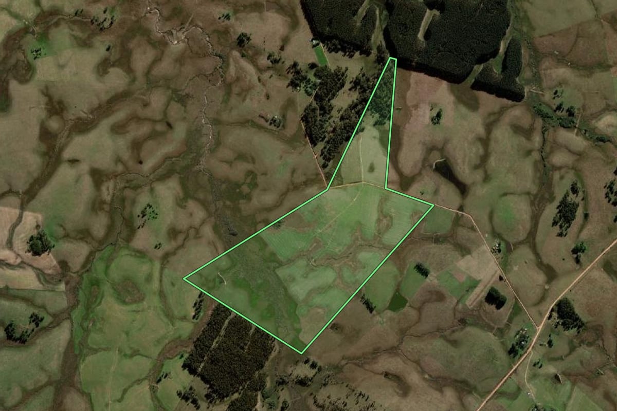 Imagem de satélite do imóvel rural em Sant'Ana do Livramento (RS), com o contorno declarado no CAR desenhado por cima.