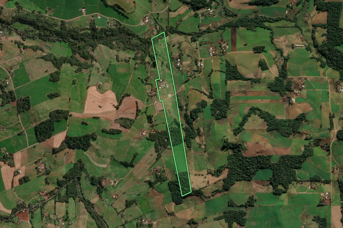 Imagem de satélite do imóvel rural em Santa Rosa (RS), com o contorno declarado no CAR desenhado por cima.