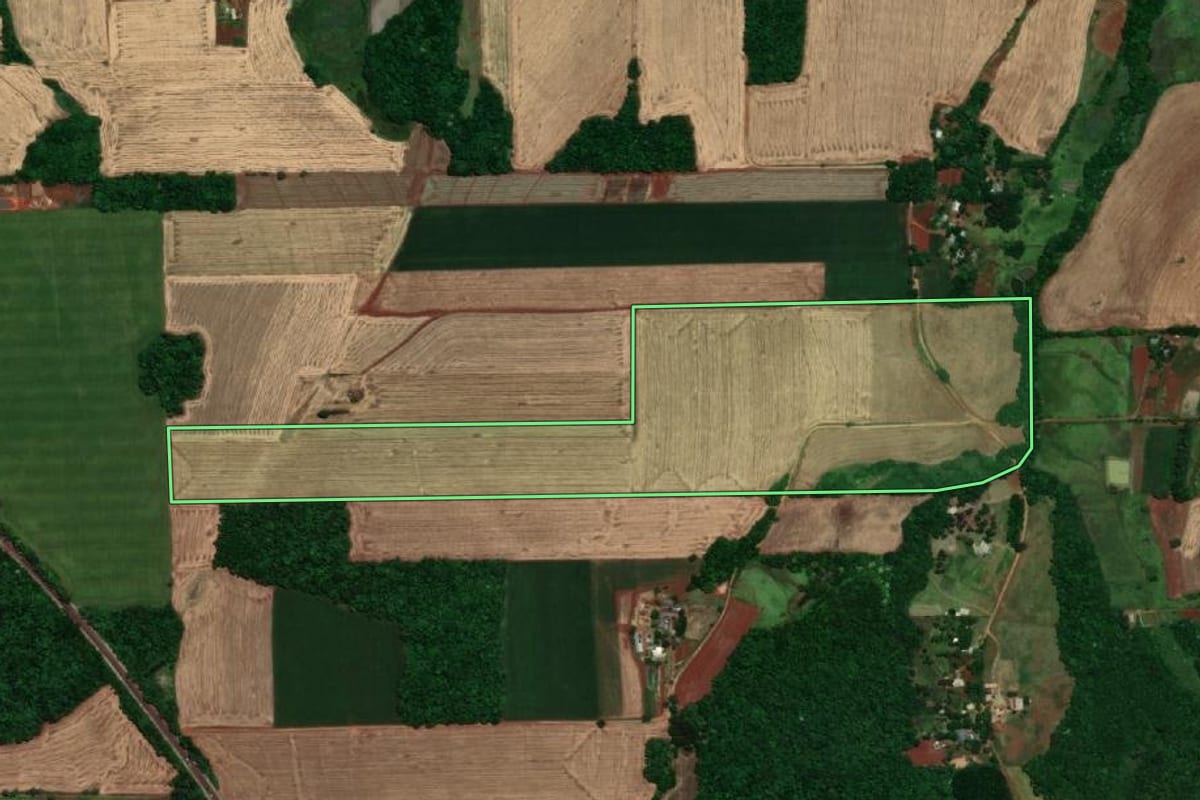Imagem de satélite do imóvel rural em Santa Rosa (RS), com o contorno declarado no CAR desenhado por cima.