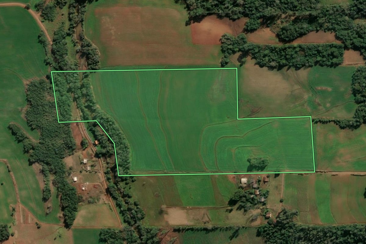 Imagem de satélite do imóvel rural em Santa Rosa (RS), com o contorno declarado no CAR desenhado por cima.