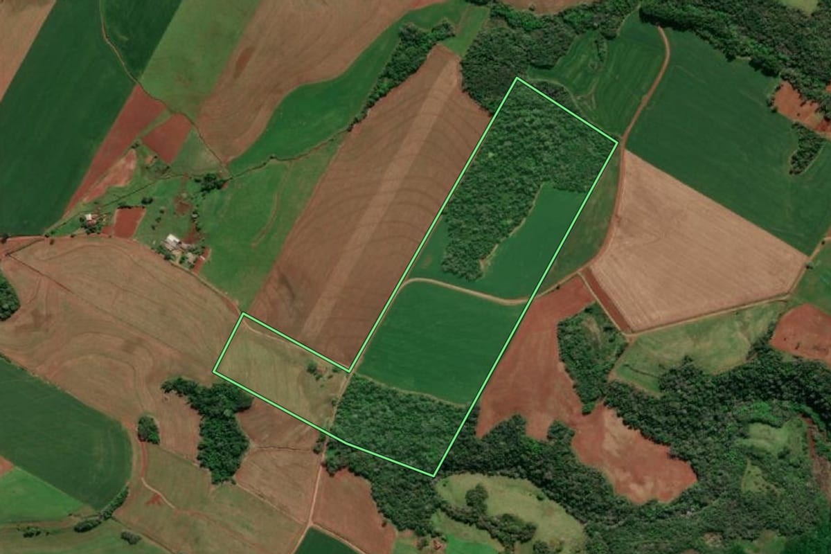 Imagem de satélite do imóvel rural em Santa Rosa (RS), com o contorno declarado no CAR desenhado por cima.