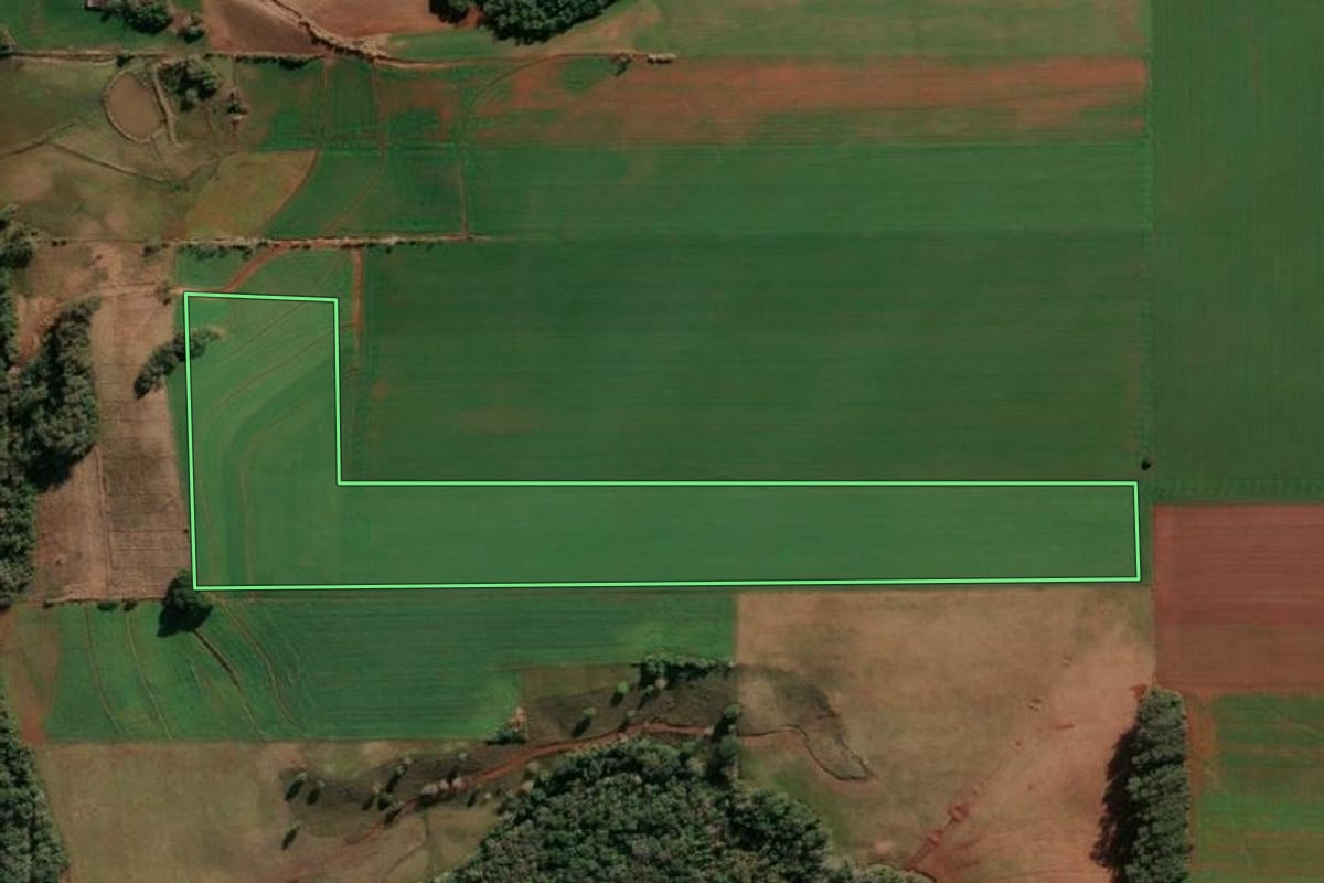 Imagem de satélite do imóvel rural em Santa Rosa (RS), com o contorno declarado no CAR desenhado por cima.