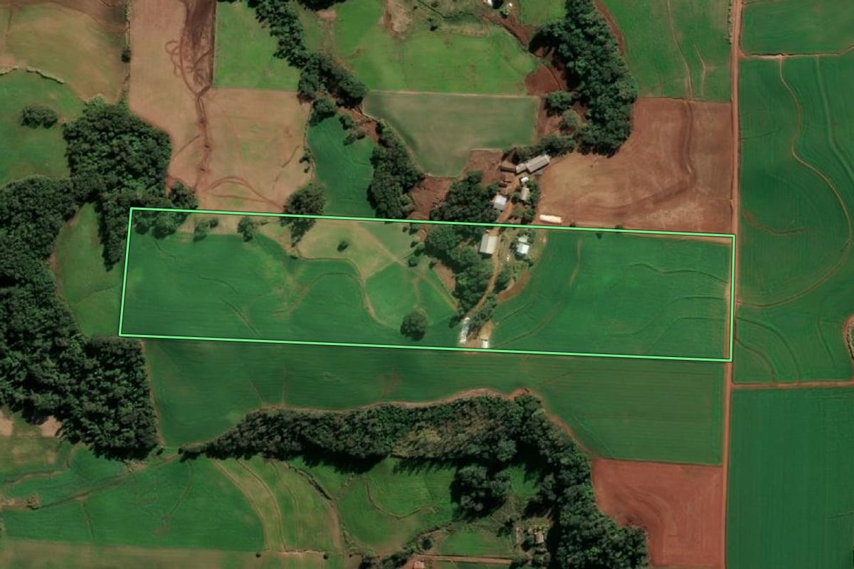 Imagem de satélite do imóvel rural em Santa Rosa (RS), com o contorno declarado no CAR desenhado por cima.