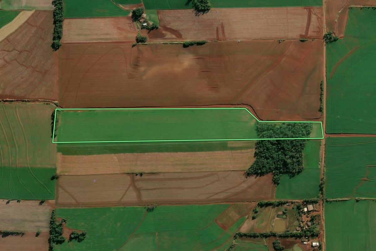 Imagem de satélite do imóvel rural em Santa Rosa (RS), com o contorno declarado no CAR desenhado por cima.