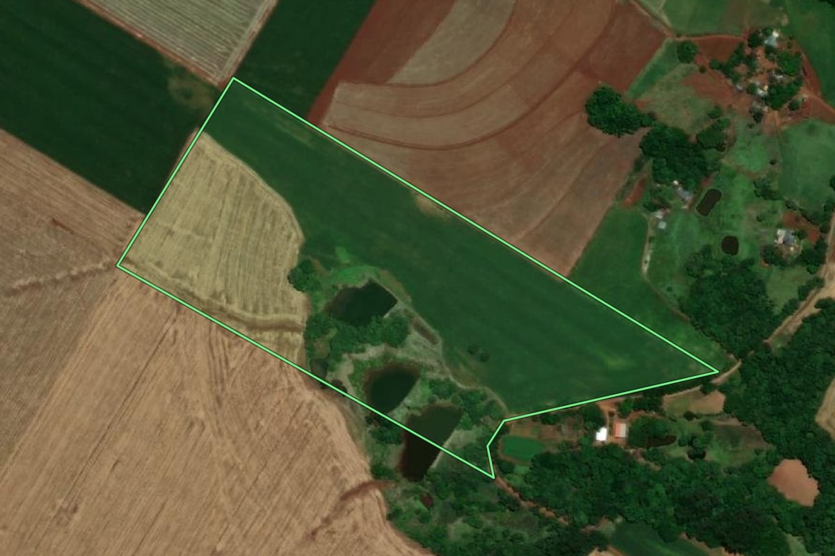 Imagem de satélite do imóvel rural em Santa Rosa (RS), com o contorno declarado no CAR desenhado por cima.