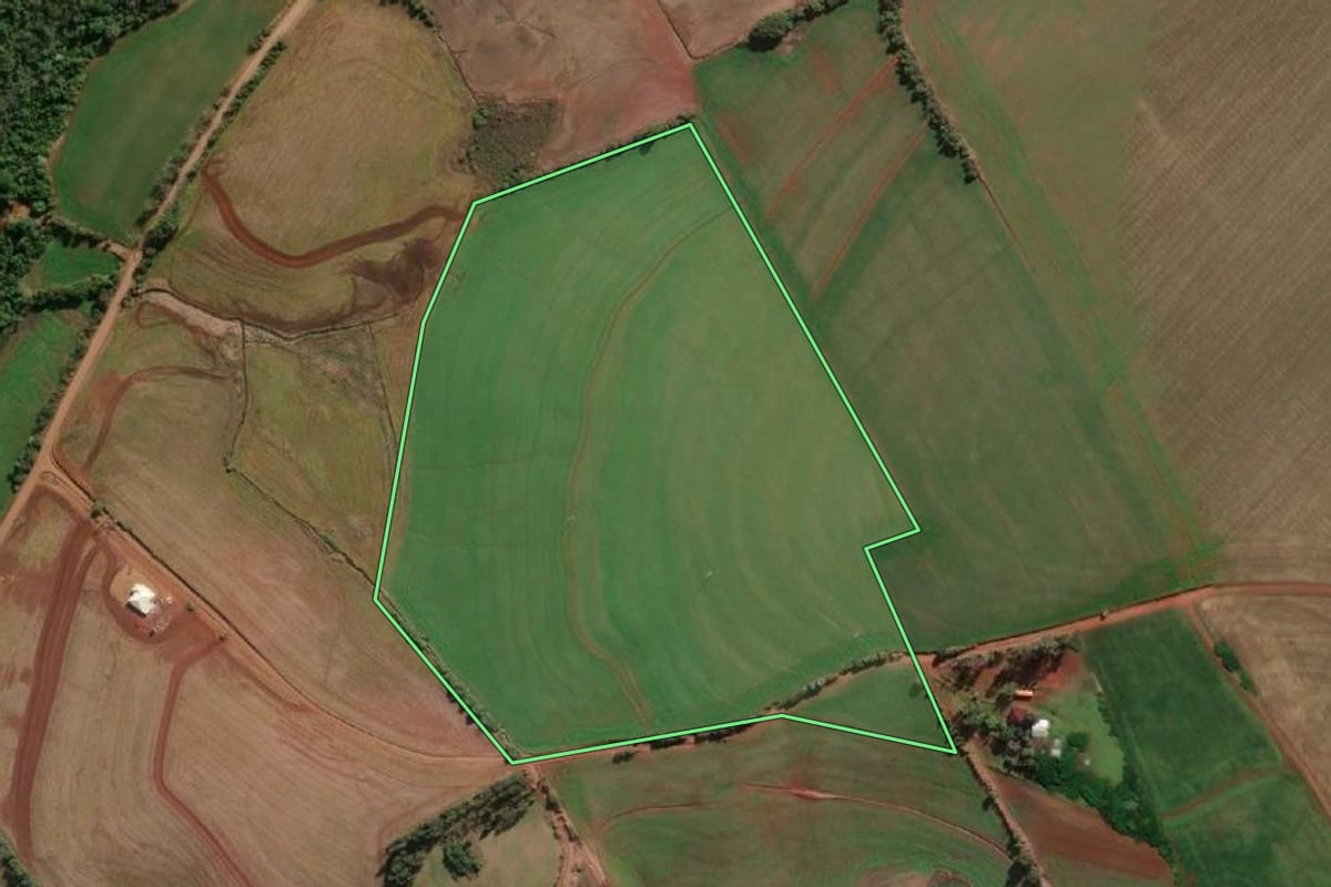 Imagem de satélite do imóvel rural em Santa Rosa (RS), com o contorno declarado no CAR desenhado por cima.