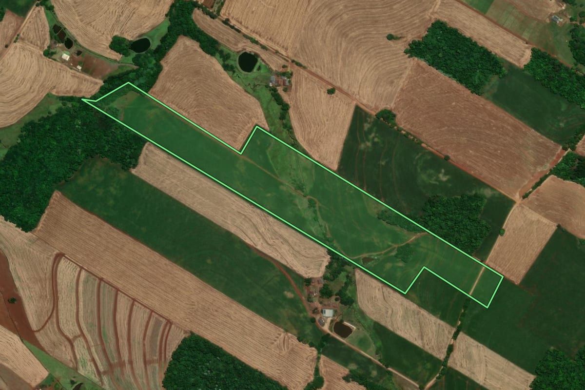 Imagem de satélite do imóvel rural em Santa Rosa (RS), com o contorno declarado no CAR desenhado por cima.