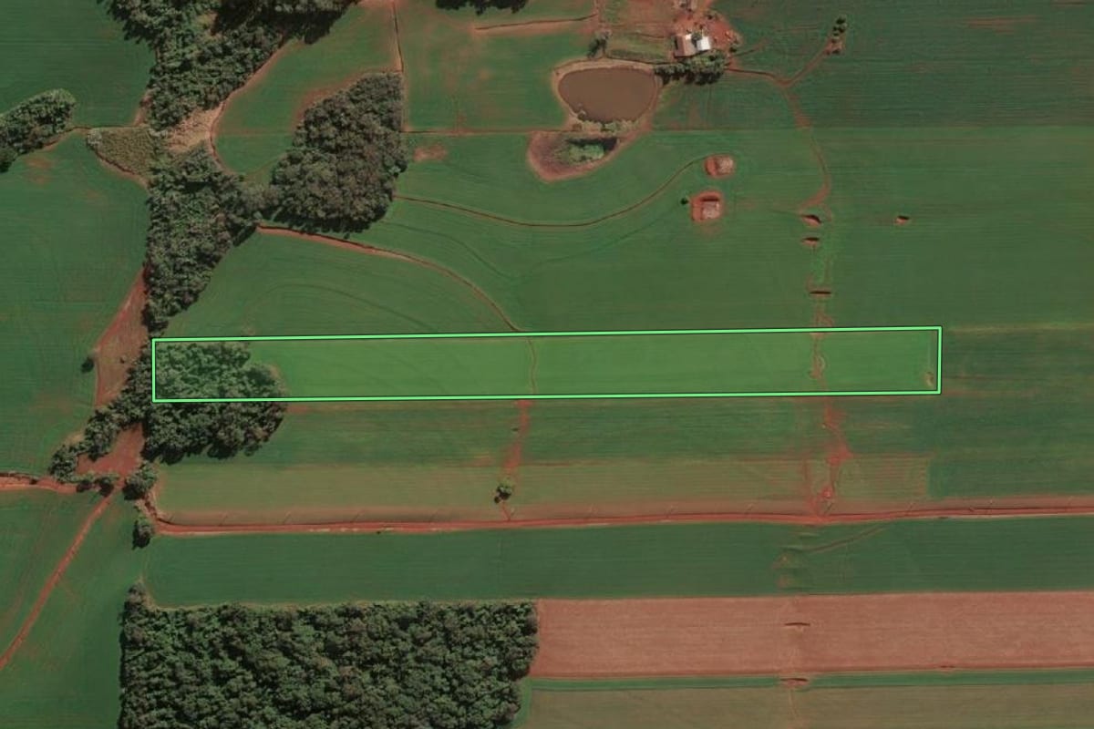 Imagem de satélite do imóvel rural em Santa Rosa (RS), com o contorno declarado no CAR desenhado por cima.