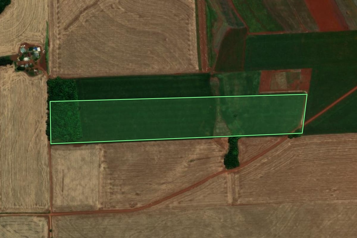Imagem de satélite do imóvel rural em Santa Rosa (RS), com o contorno declarado no CAR desenhado por cima.