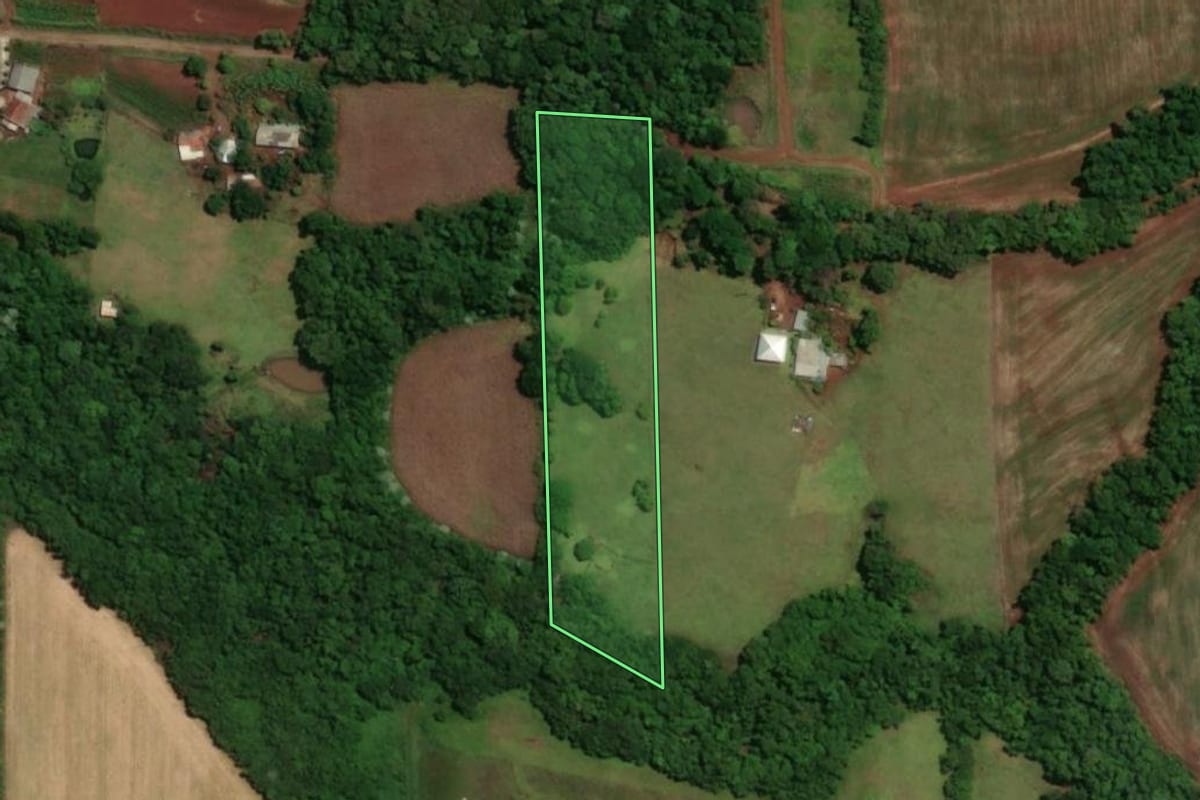 Imagem de satélite do imóvel rural em Santa Rosa (RS), com o contorno declarado no CAR desenhado por cima.