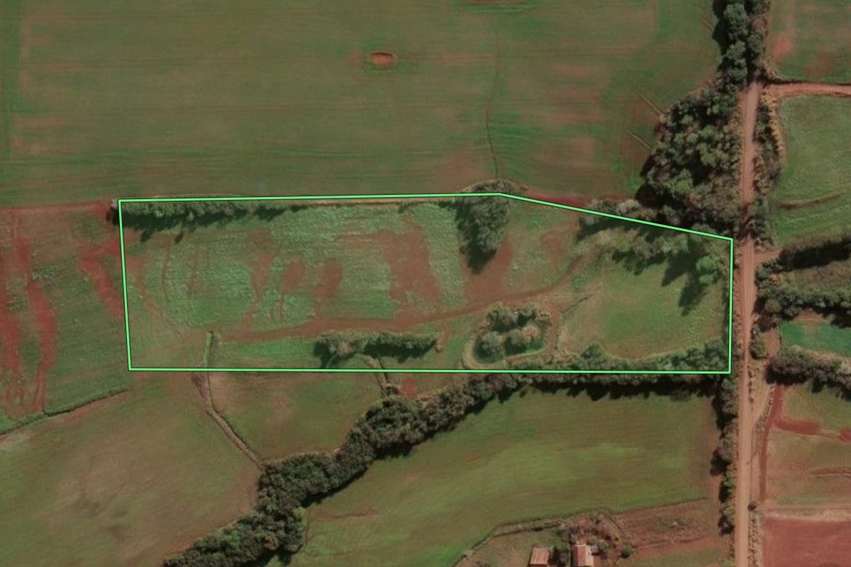 Imagem de satélite do imóvel rural em Santa Rosa (RS), com o contorno declarado no CAR desenhado por cima.