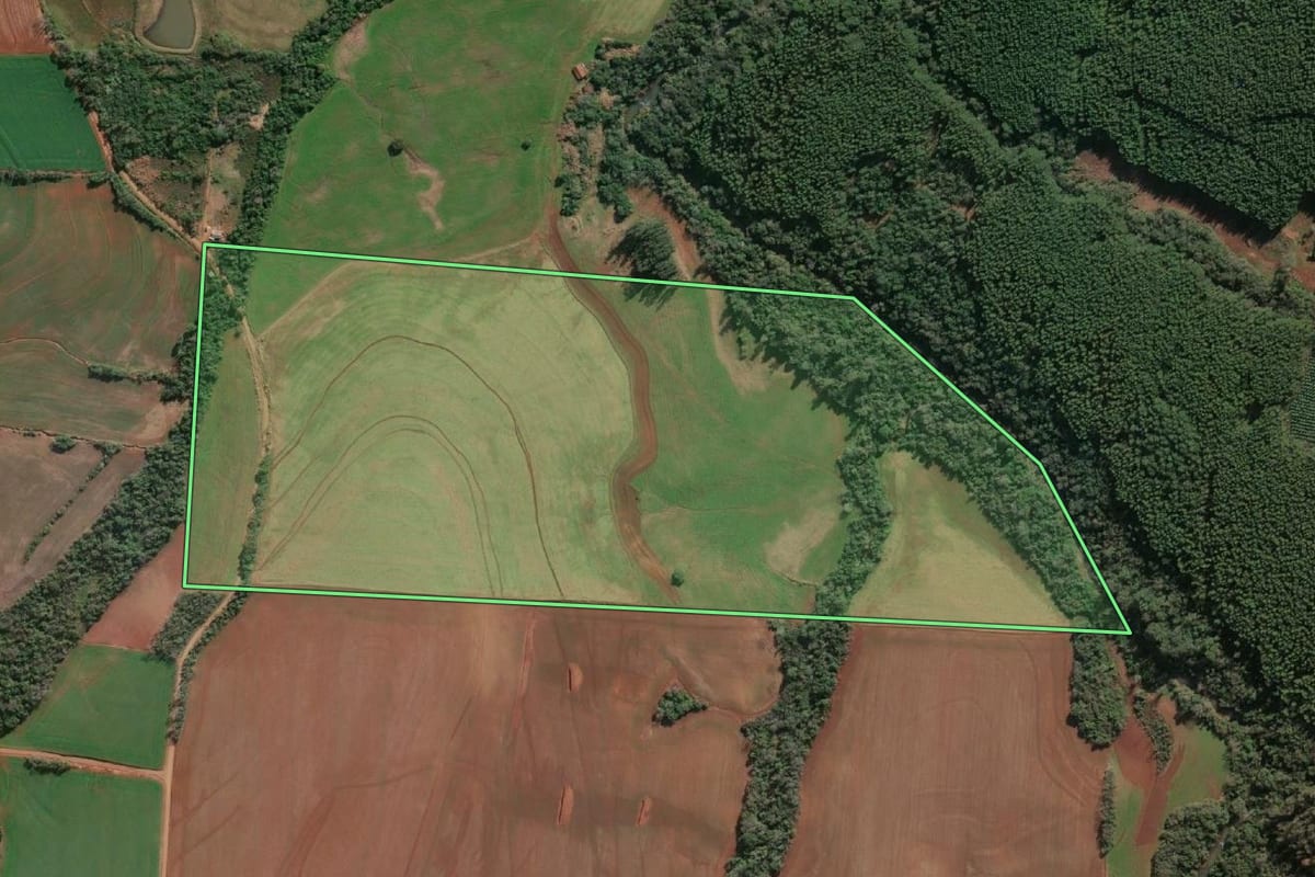 Imagem de satélite do imóvel rural em Santa Rosa (RS), com o contorno declarado no CAR desenhado por cima.