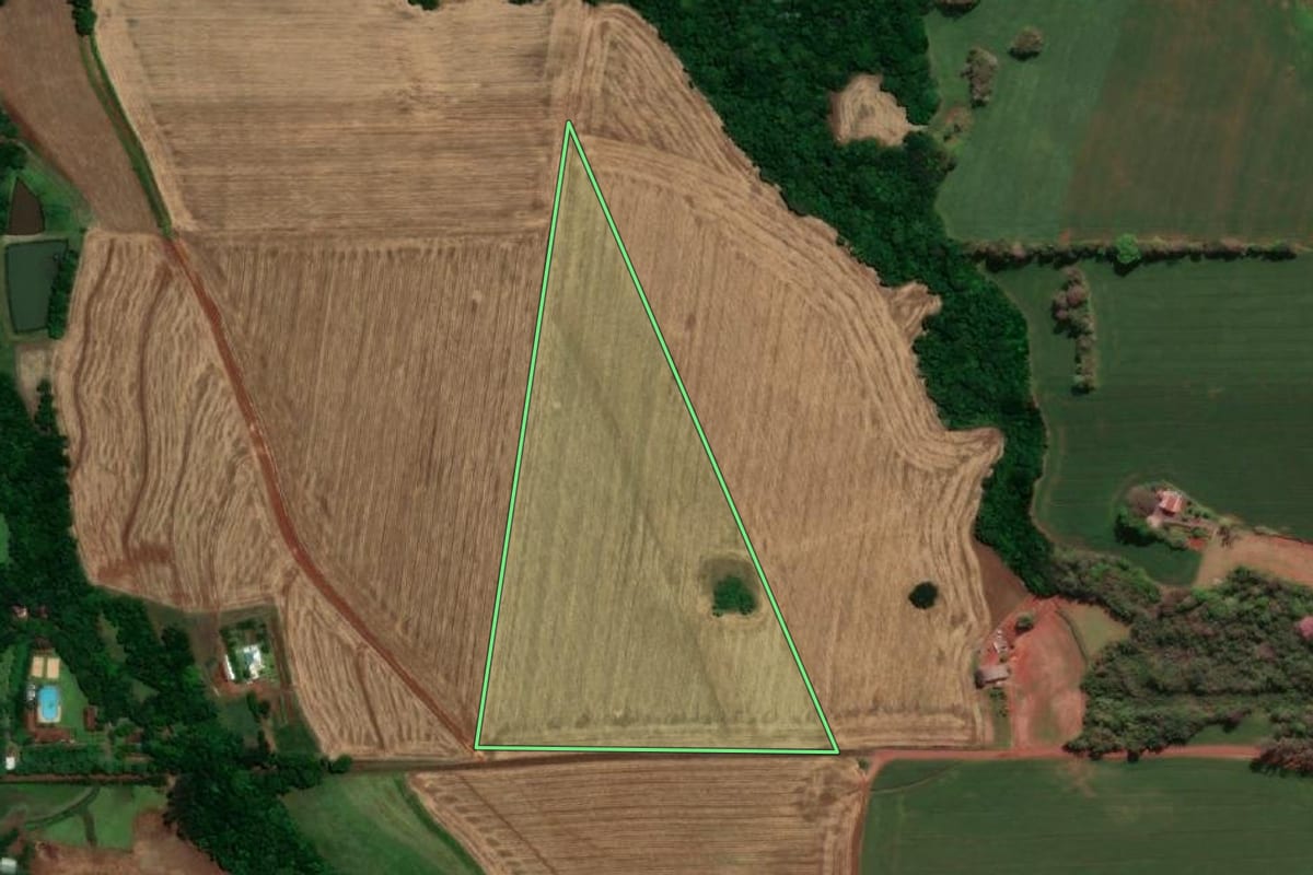 Imagem de satélite do imóvel rural em Santa Rosa (RS), com o contorno declarado no CAR desenhado por cima.