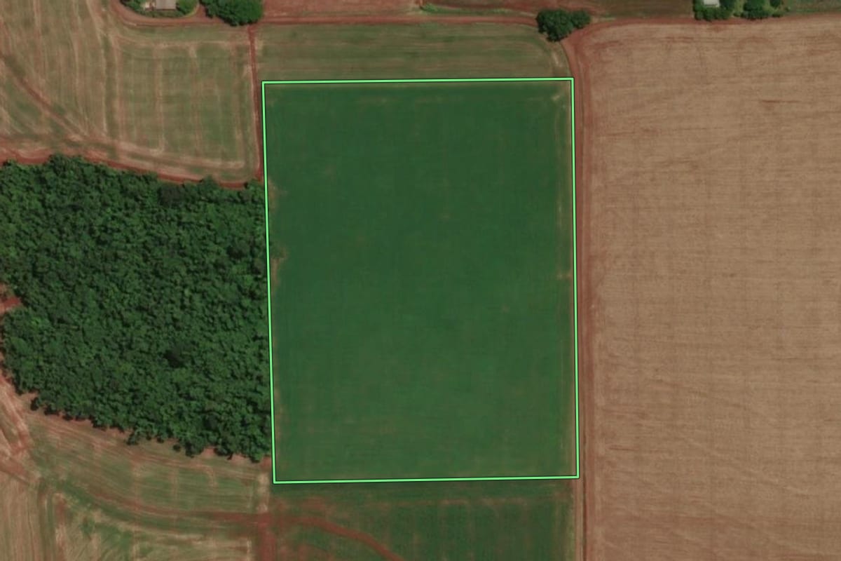 Imagem de satélite do imóvel rural em Santa Rosa (RS), com o contorno declarado no CAR desenhado por cima.