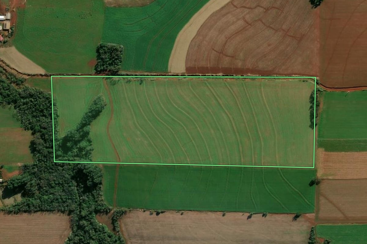 Imagem de satélite do imóvel rural em Santa Rosa (RS), com o contorno declarado no CAR desenhado por cima.