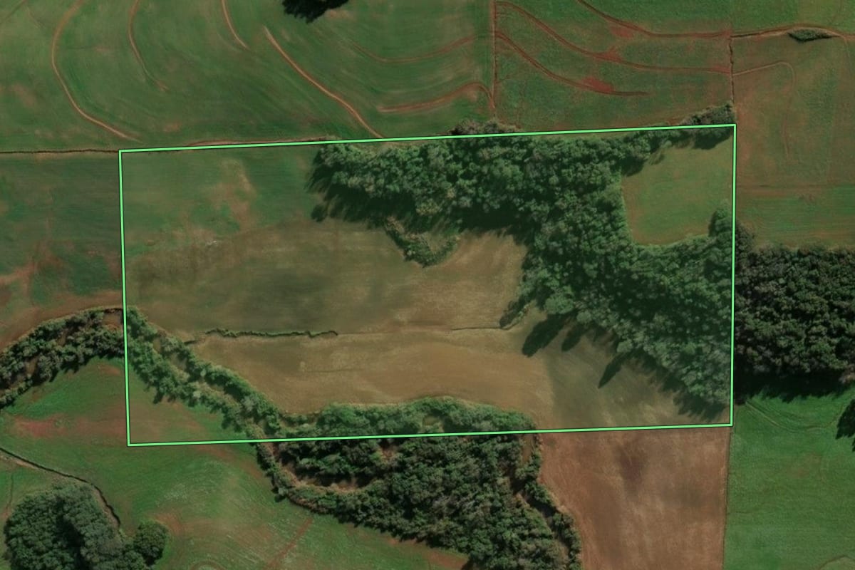 Imagem de satélite do imóvel rural em Santa Rosa (RS), com o contorno declarado no CAR desenhado por cima.