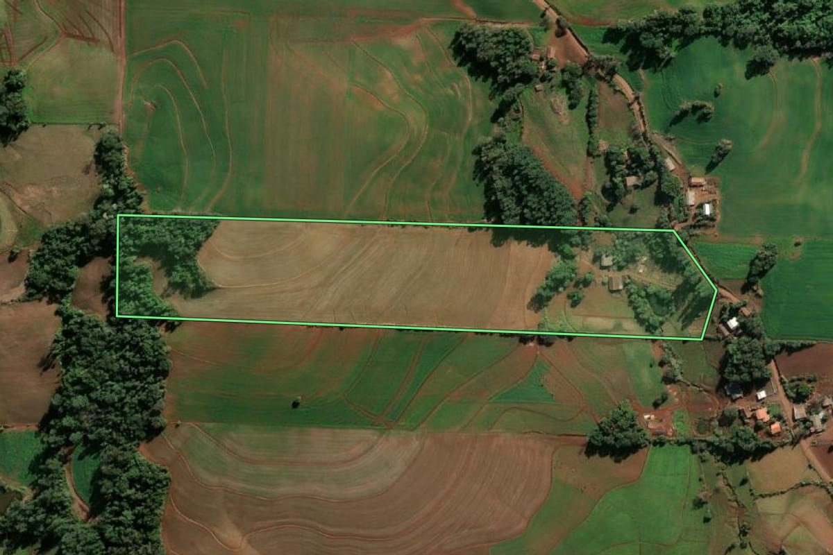Imagem de satélite do imóvel rural em Santa Rosa (RS), com o contorno declarado no CAR desenhado por cima.