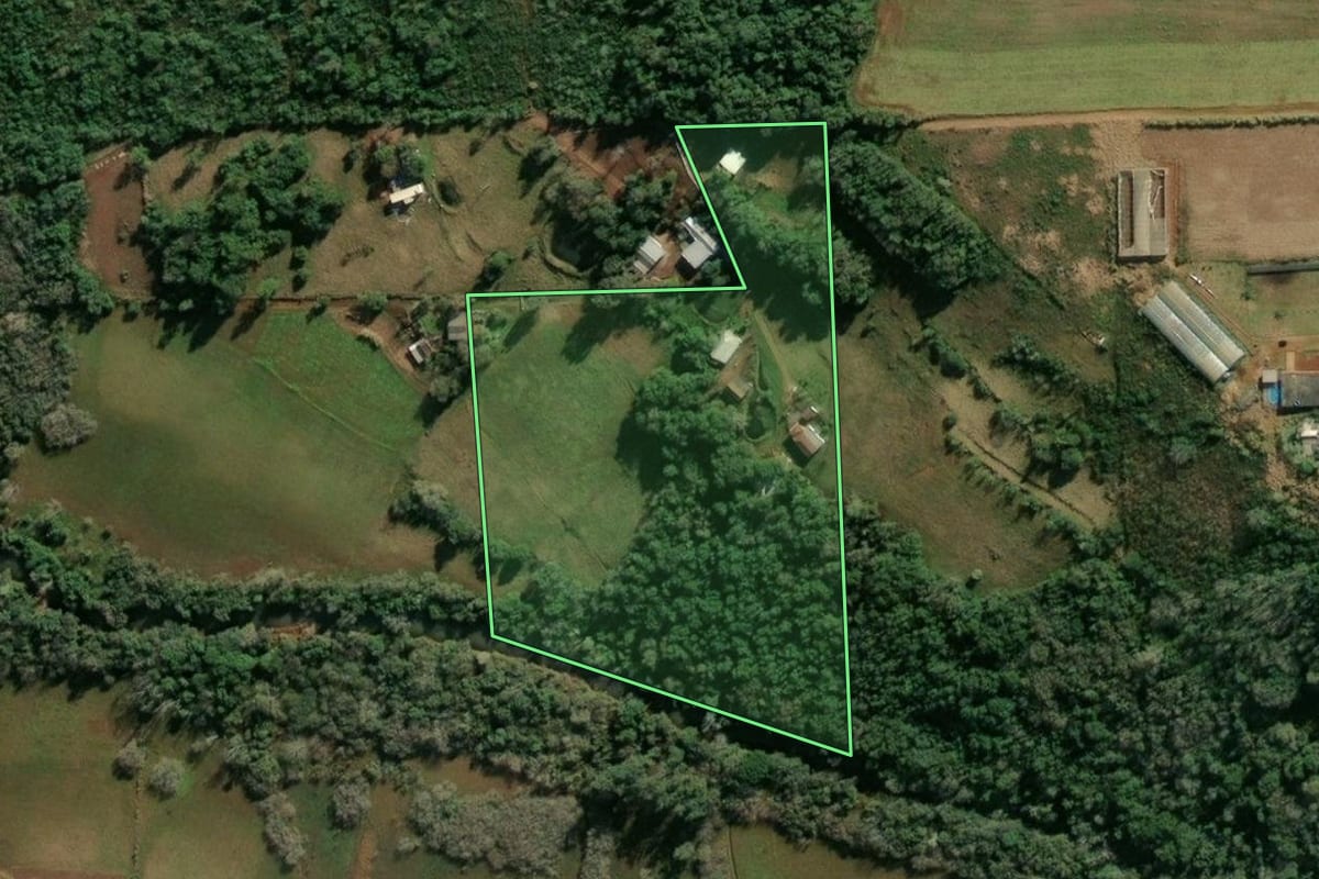 Imagem de satélite do imóvel rural em Santa Rosa (RS), com o contorno declarado no CAR desenhado por cima.