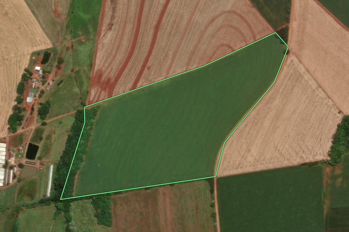 Imagem de satélite do imóvel rural em Santa Rosa (RS), com o contorno declarado no CAR desenhado por cima.