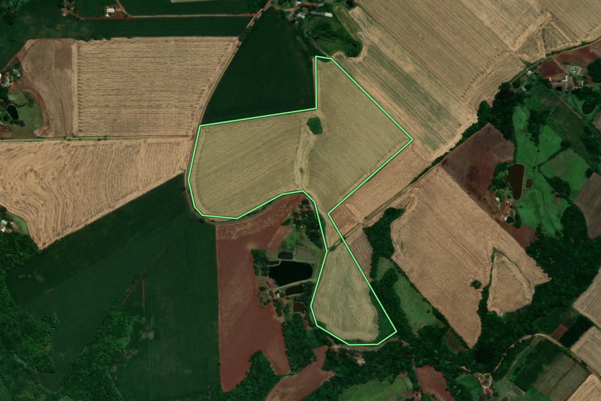 Imagem de satélite do imóvel rural em Santa Rosa (RS), com o contorno declarado no CAR desenhado por cima.