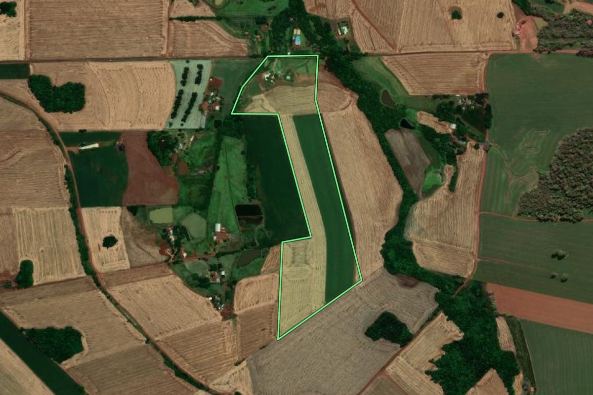 Imagem de satélite do imóvel rural em Santa Rosa (RS), com o contorno declarado no CAR desenhado por cima.