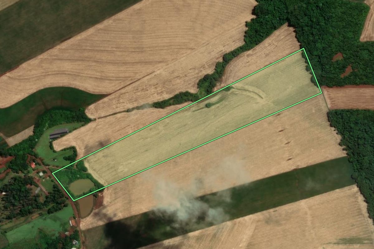Imagem de satélite do imóvel rural em Santa Rosa (RS), com o contorno declarado no CAR desenhado por cima.
