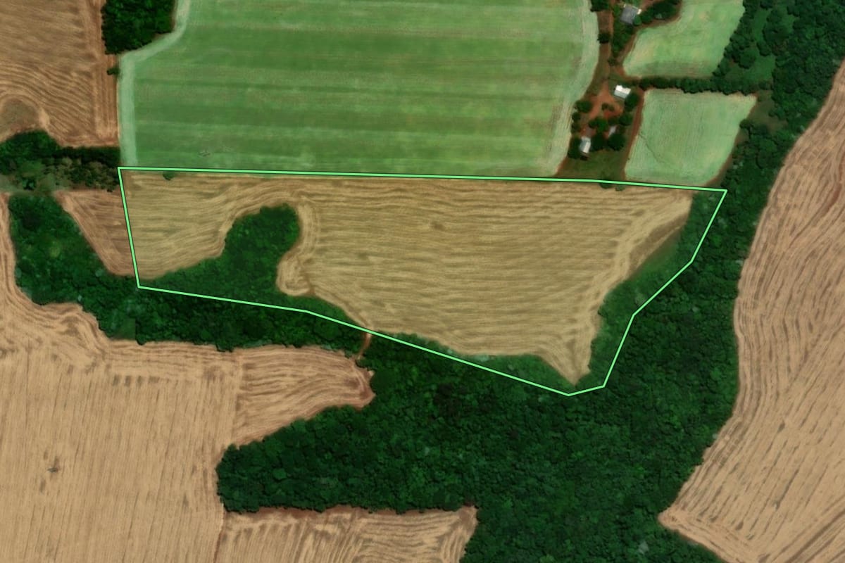 Imagem de satélite do imóvel rural em Santa Rosa (RS), com o contorno declarado no CAR desenhado por cima.