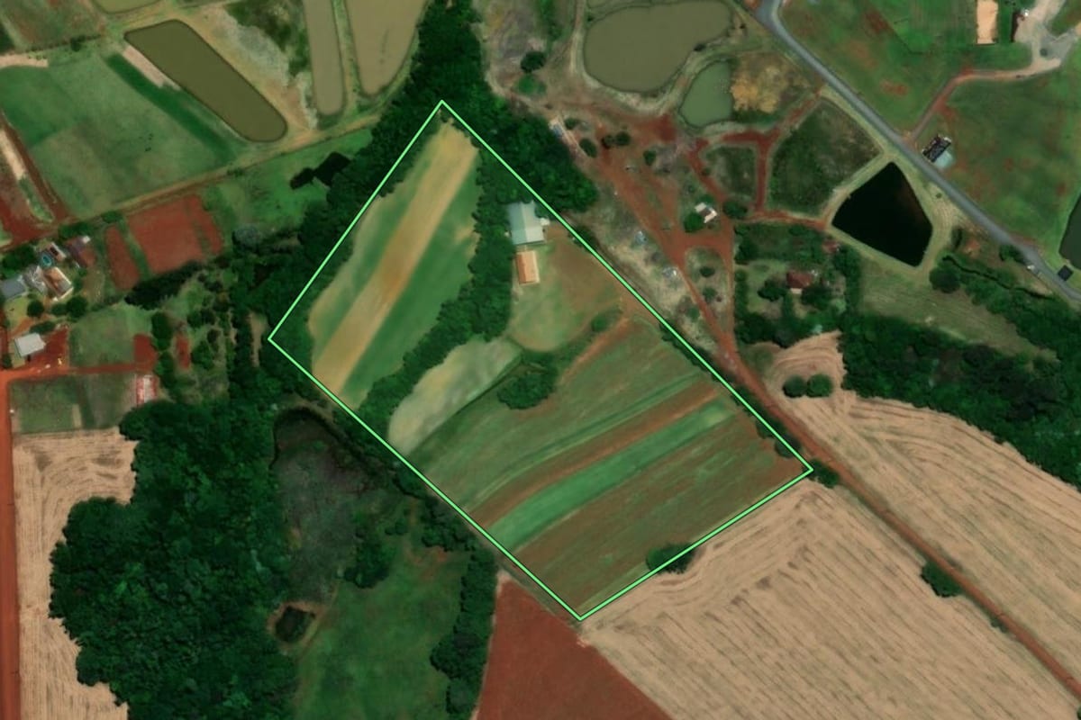 Imagem de satélite do imóvel rural em Santa Rosa (RS), com o contorno declarado no CAR desenhado por cima.