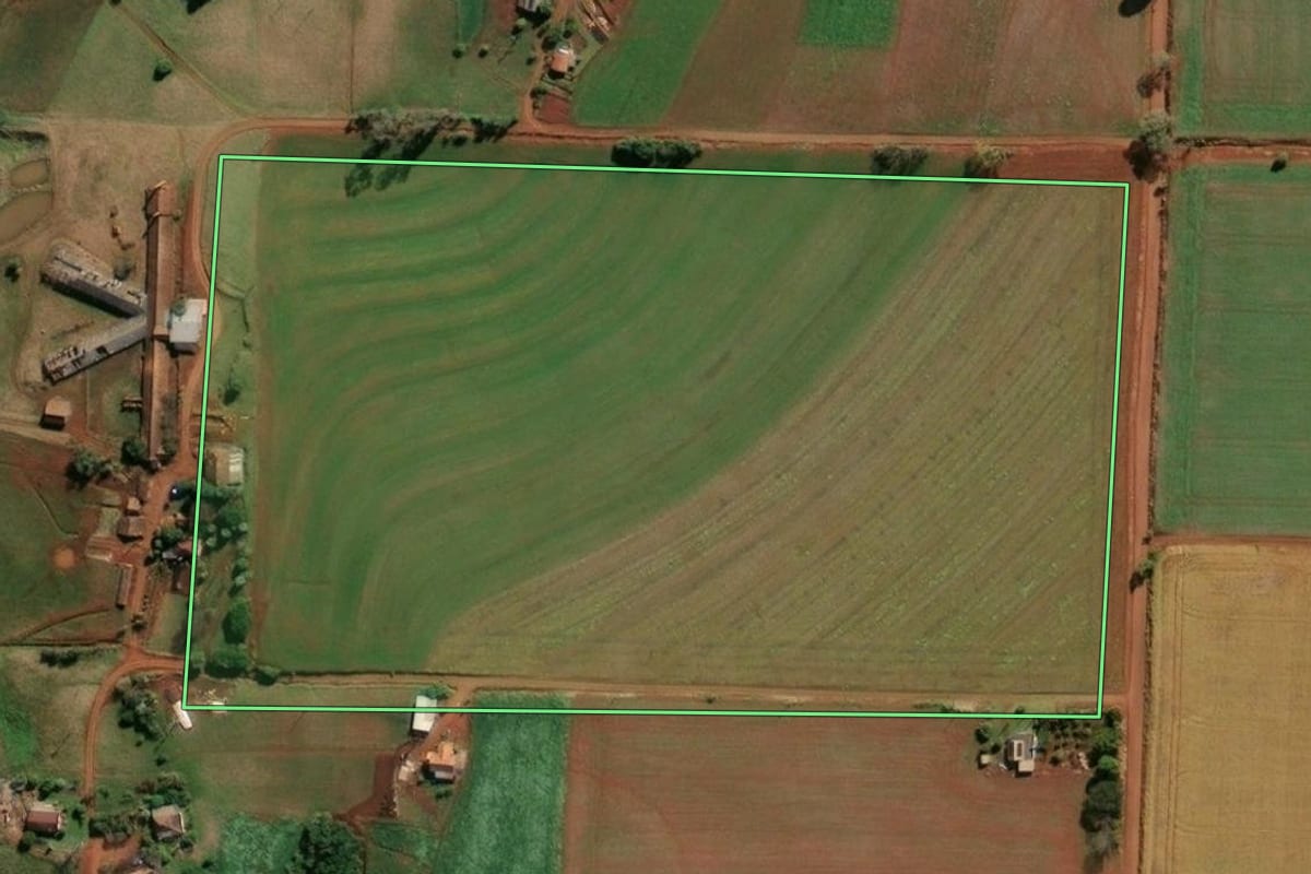 Imagem de satélite do imóvel rural em Santa Rosa (RS), com o contorno declarado no CAR desenhado por cima.
