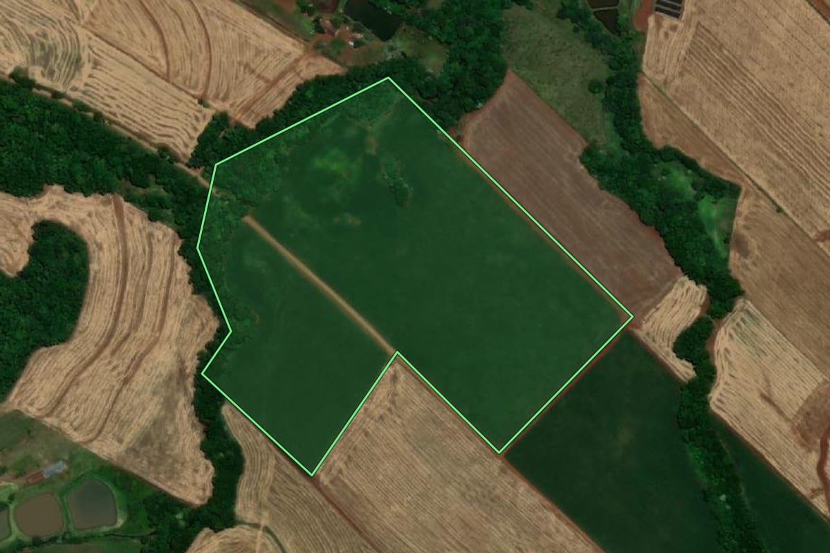 Imagem de satélite do imóvel rural em Santa Rosa (RS), com o contorno declarado no CAR desenhado por cima.