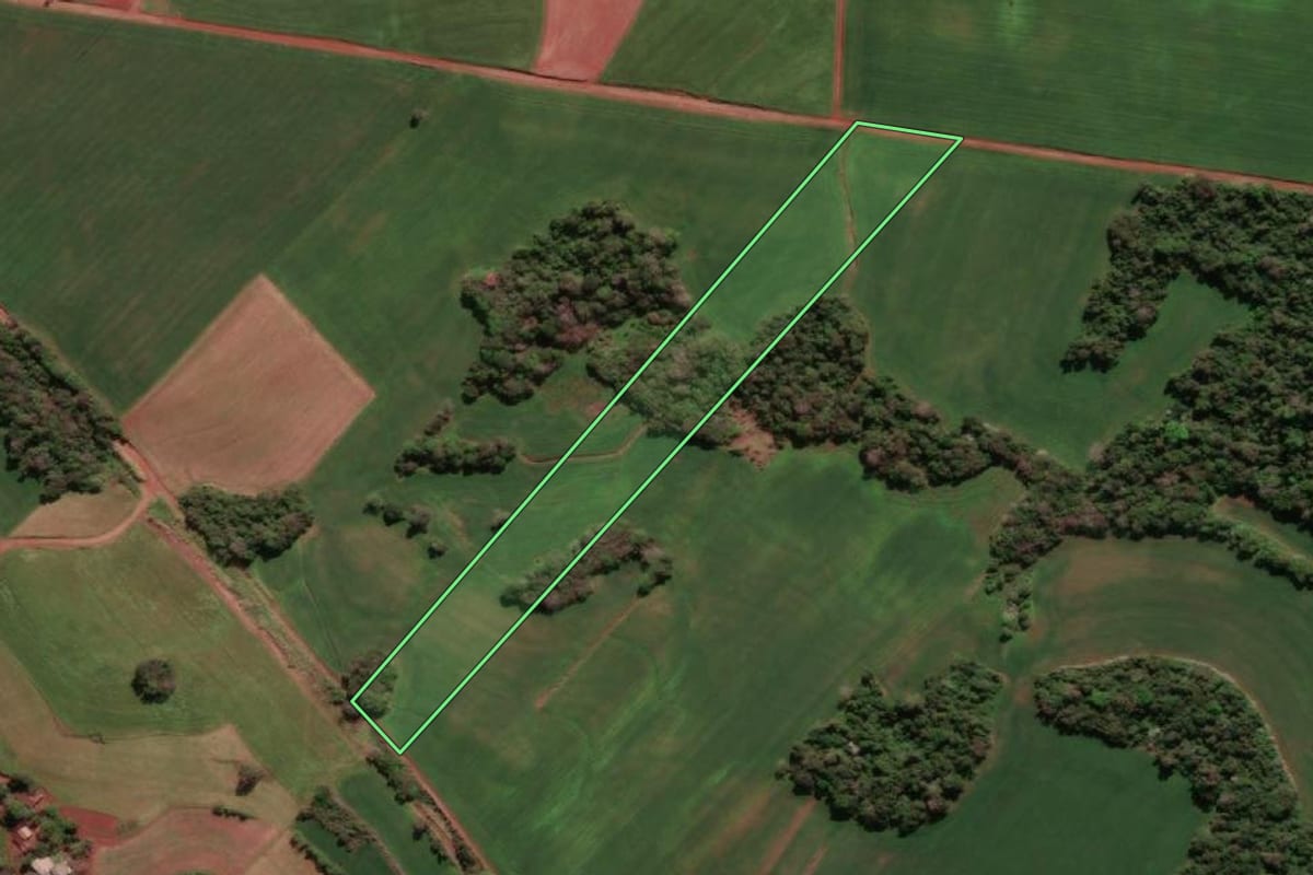 Imagem de satélite do imóvel rural em Santa Rosa (RS), com o contorno declarado no CAR desenhado por cima.