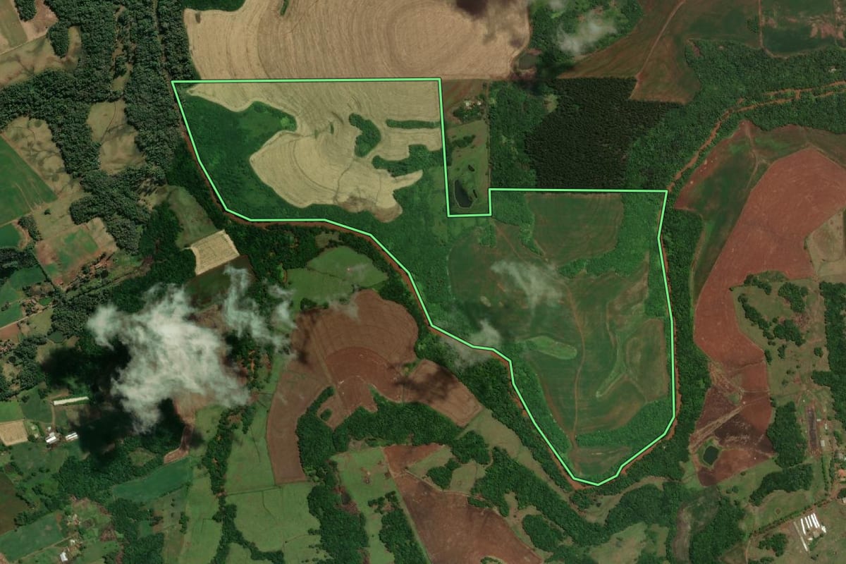 Imagem de satélite do imóvel rural em Santa Rosa (RS), com o contorno declarado no CAR desenhado por cima.