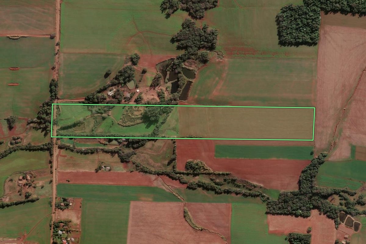Imagem de satélite do imóvel rural em Santa Rosa (RS), com o contorno declarado no CAR desenhado por cima.