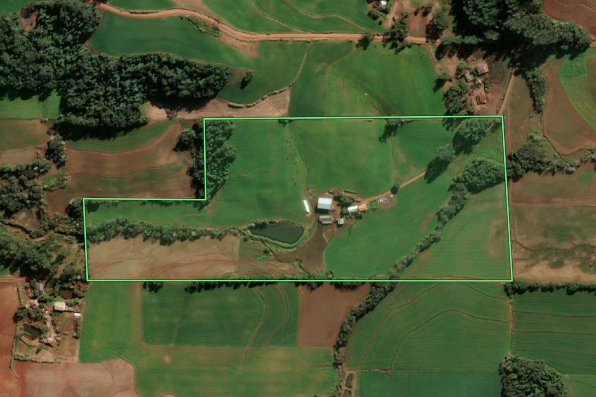 Imagem de satélite do imóvel rural em Santa Rosa (RS), com o contorno declarado no CAR desenhado por cima.