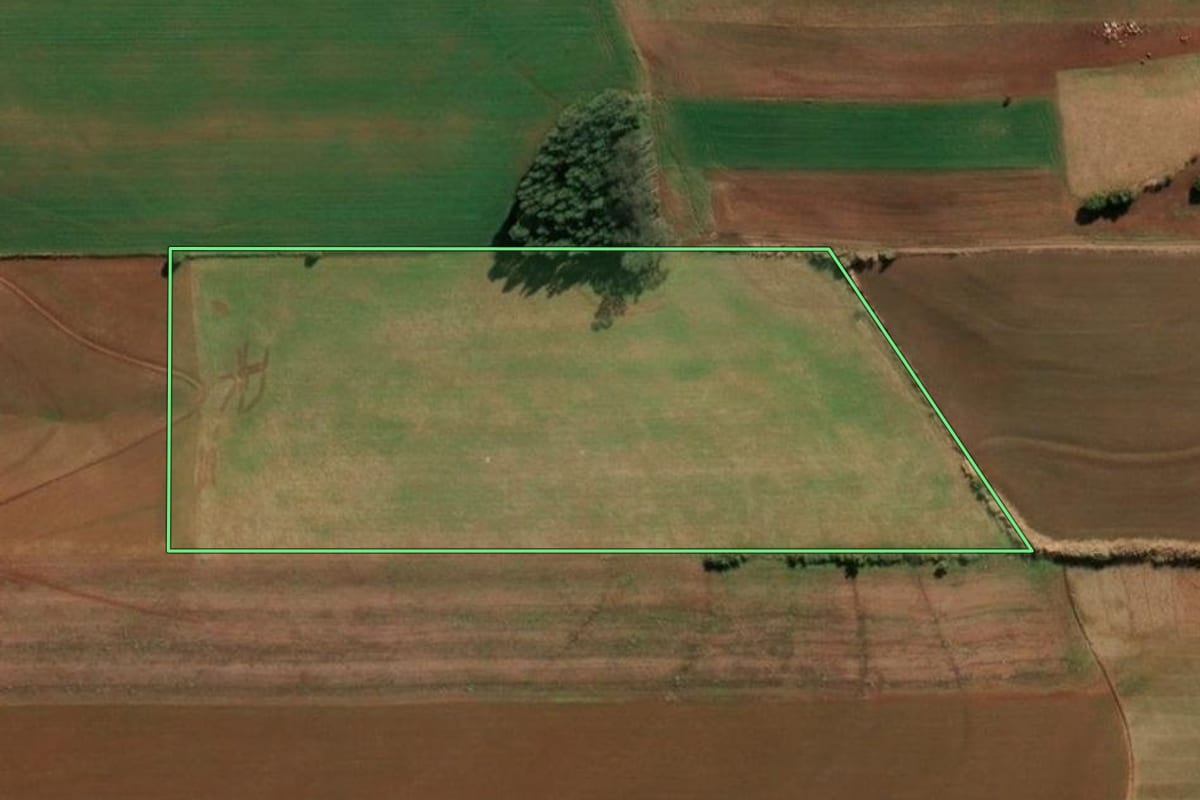 Imagem de satélite do imóvel rural em Santa Rosa (RS), com o contorno declarado no CAR desenhado por cima.