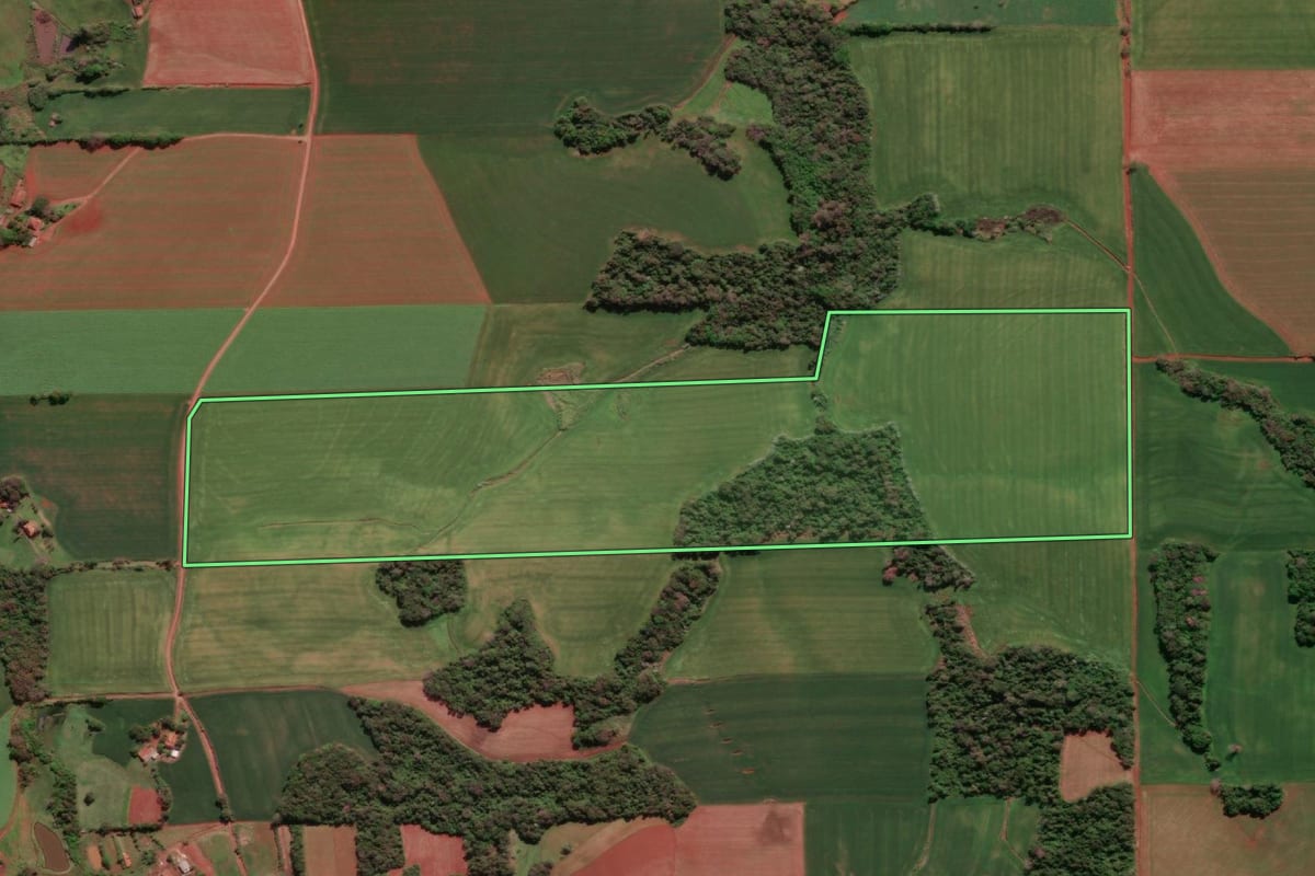 Imagem de satélite do imóvel rural em Santa Rosa (RS), com o contorno declarado no CAR desenhado por cima.