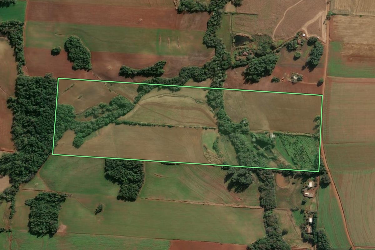 Imagem de satélite do imóvel rural em Santa Rosa (RS), com o contorno declarado no CAR desenhado por cima.