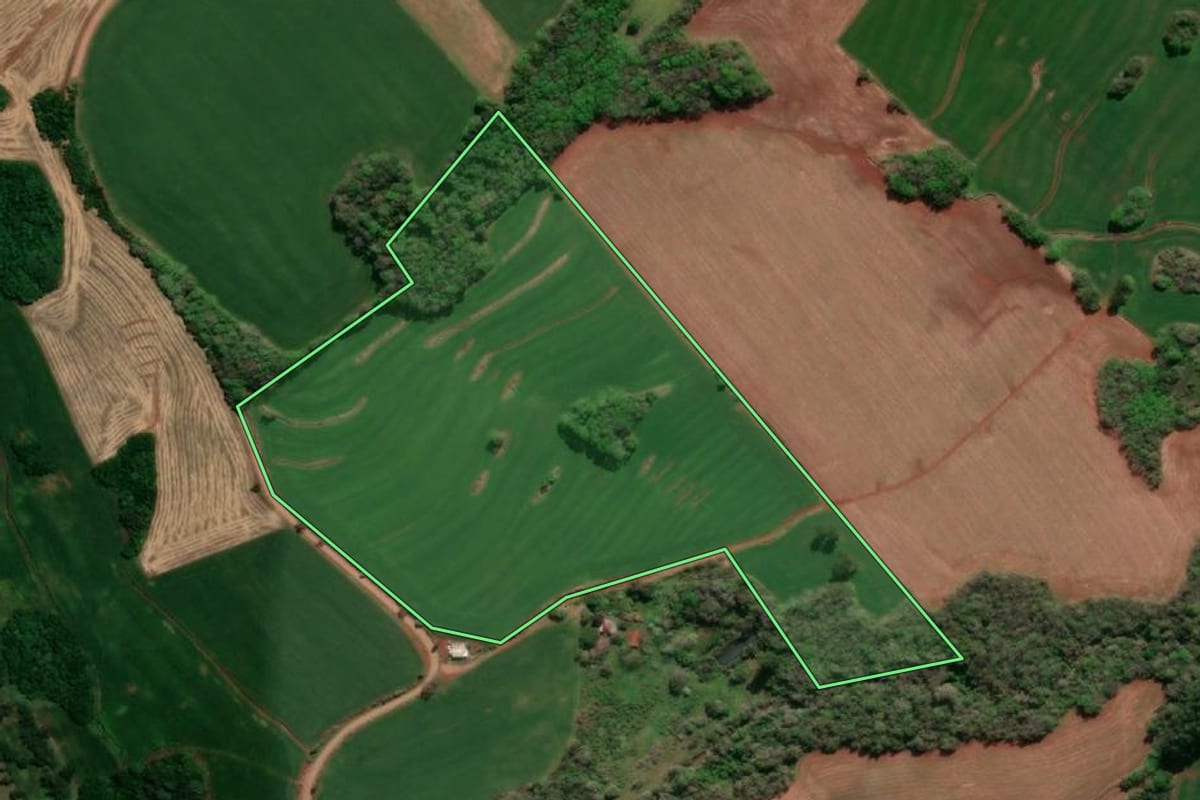 Imagem de satélite do imóvel rural em Santa Rosa (RS), com o contorno declarado no CAR desenhado por cima.