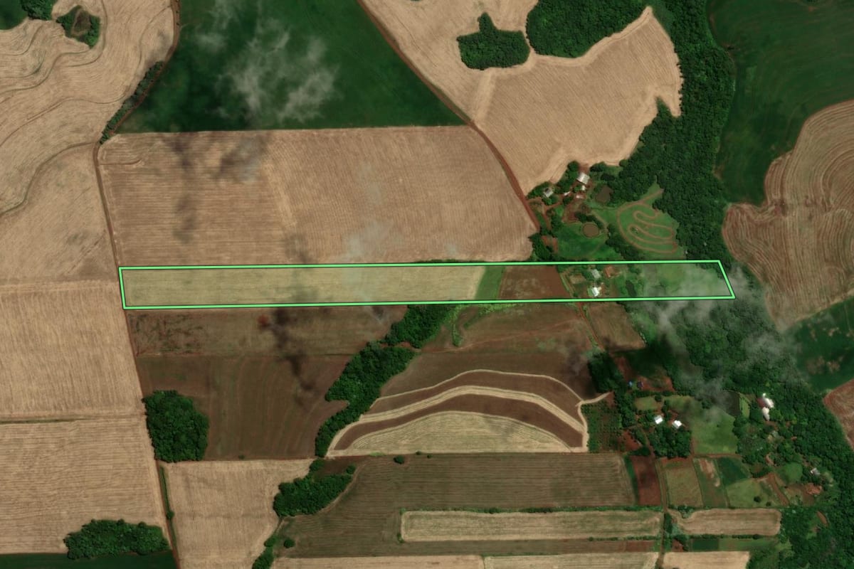 Imagem de satélite do imóvel rural em Santa Rosa (RS), com o contorno declarado no CAR desenhado por cima.